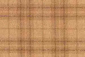 Ковролин Brintons Abbotsford Gold Brodie 176-33730 фото  | FLOORDEALER